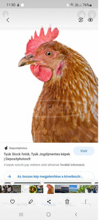 Betanitott munka Betanitott munka