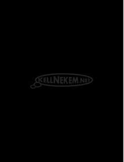 Gazdikereső sziámi cica Gazdikereső sziámi cica