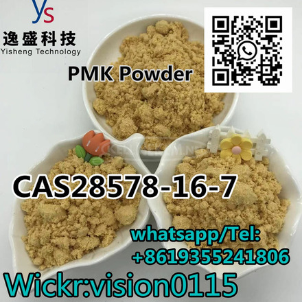 CAS 28578-16-7PMK Powder with Factory Price. - 4/4