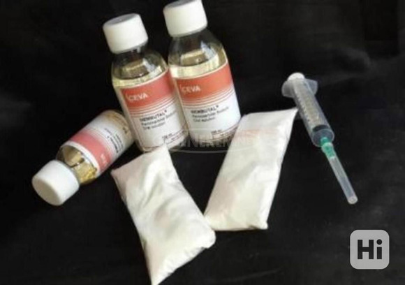 BUY NEMBUTAL ONLINE ,BUY PENTOBARBITAL SODIUM, BUY INJECTABLE NEMBUTAL - 1/4