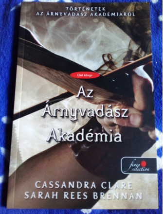 Cassandra Clare 1 Sarah Rees Brennan Az Árnyvadász Akadémia - 1/3