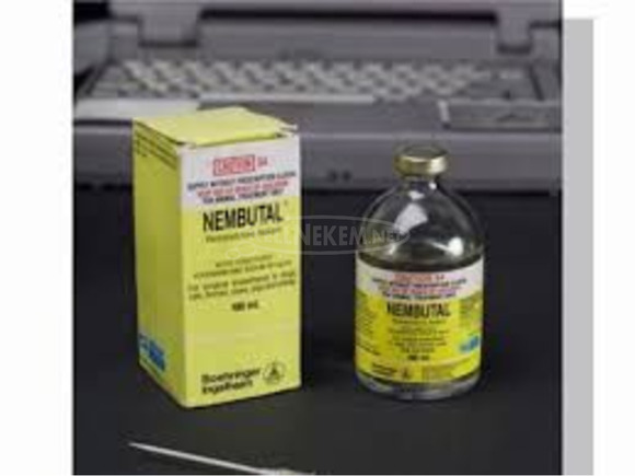 Nembutal (Pentobarbital-Natrium) in Flüssigkeit, Tabletten und Pulver - 1/1