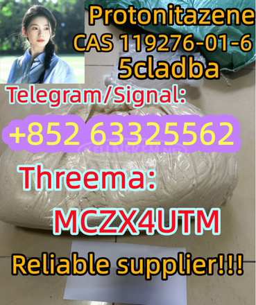 CAS 119276 - 01 - 6 PROTONITAZENE - 1/1