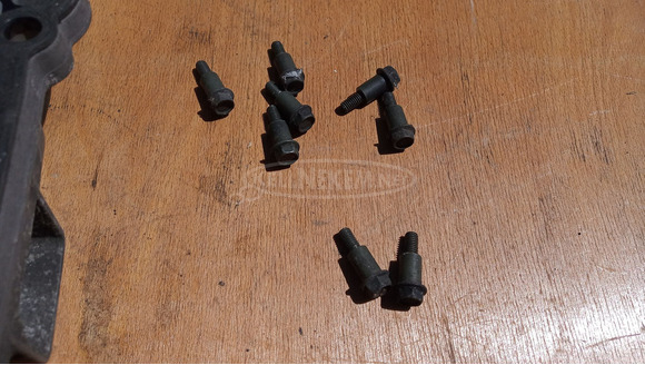 Yamaha Majesty YP 250 kuplung fedél - 8/8