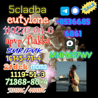 1119-51-3 factory direct sale price discount