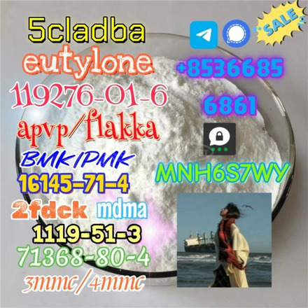 Safe delivery CAS 119276-01-6 14680-51-4 hot sale - 2/2