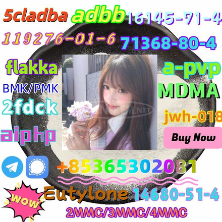 Do you want to buy 71368-80-4powder? - 3/7