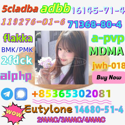 Do you want to buy 71368-80-4powder? - 5/7