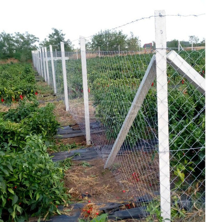 Kerítés építés országosan: vadháló, drótfonat, drótháló, oszlop, kapu - 1/3