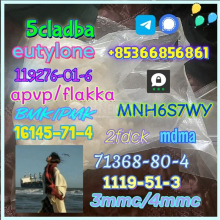 1119-51-3 factory direct sale price discount