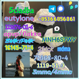 1119-51-3 factory direct sale price discount