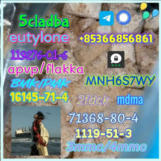 1119-51-3 factory direct sale price discount