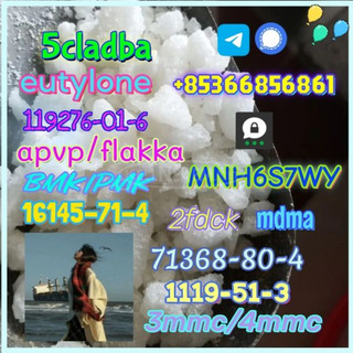 1119-51-3 factory direct sale price discount