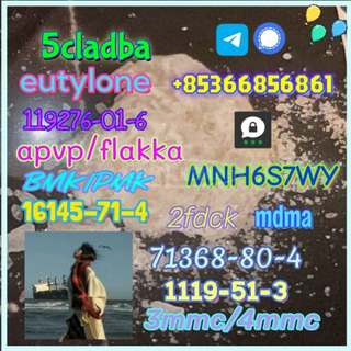 1119-51-3 factory direct sale price discount