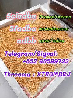 5cladba 5cl yellow powder 5cladba from best supplier