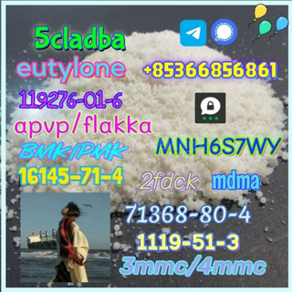 1119-51-3 factory direct sale price discount