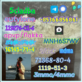 1119-51-3 factory direct sale price discount