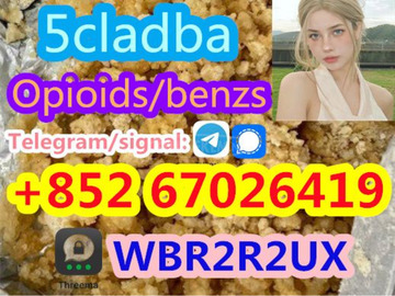 5CLADBA adbb 5cladb 5cl-adb-a 5fadb 5f-adb the strongest