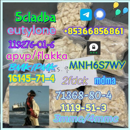 1119-51-3 factory direct sale price discount