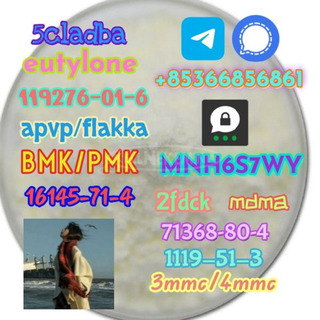 1119-51-3 factory direct sale price discount