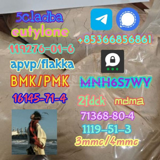 1119-51-3 factory direct sale price discount