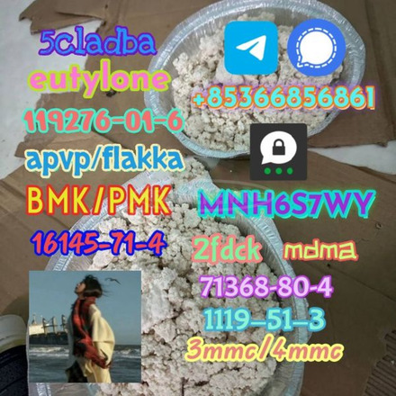 1119-51-3 factory direct sale price discount