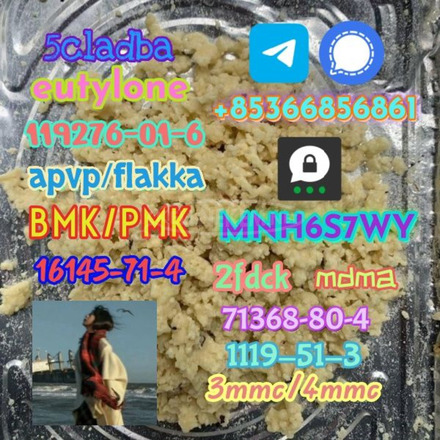 1119-51-3 factory direct sale price discount