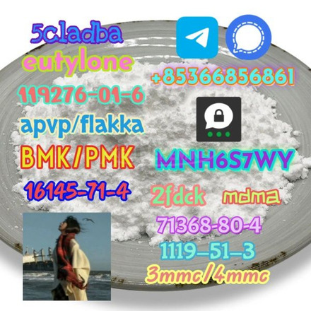 1119-51-3 factory direct sale price discount