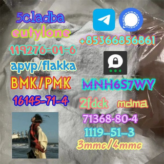 1119-51-3 factory direct sale price discount