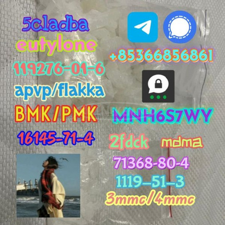 1119-51-3 factory direct sale price discount