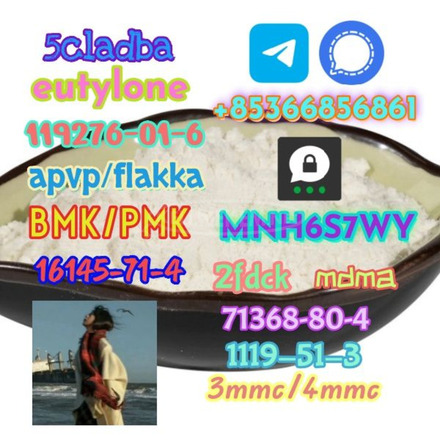 1119-51-3 factory direct sale price discount