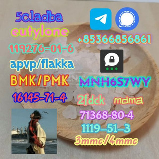 1119-51-3 factory direct sale price discount