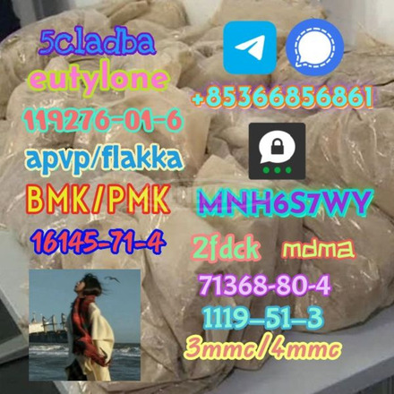 1119-51-3 factory direct sale price discount