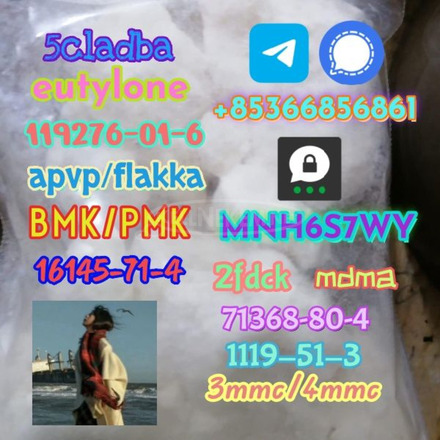 1119-51-3 factory direct sale price discount