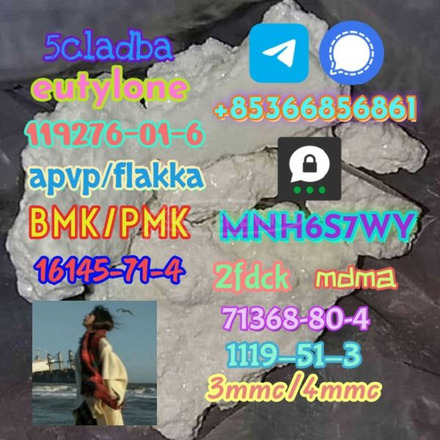 1119-51-3 factory direct sale price discount