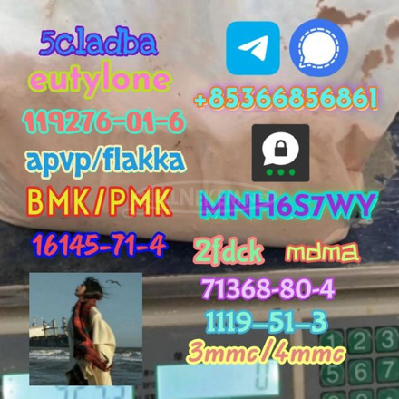 1119-51-3 factory direct sale price discount