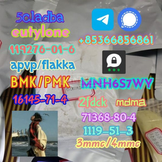 1119-51-3 factory direct sale price discount