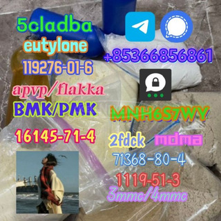 1119-51-3 factory direct sale price discount