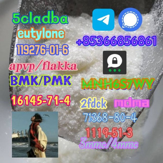 1119-51-3 factory direct sale price discount