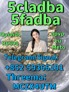 5cladba precursor 5cl powder 5cladba precursor