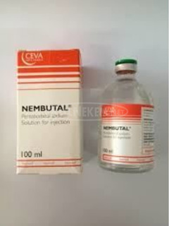Nembutal (sodium pentobarbital) for sale(remyarnolds@gmail.com)