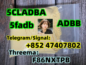 cas-137350-66-4-5cladb-5cl-adb-a-5cladba-factory-supply